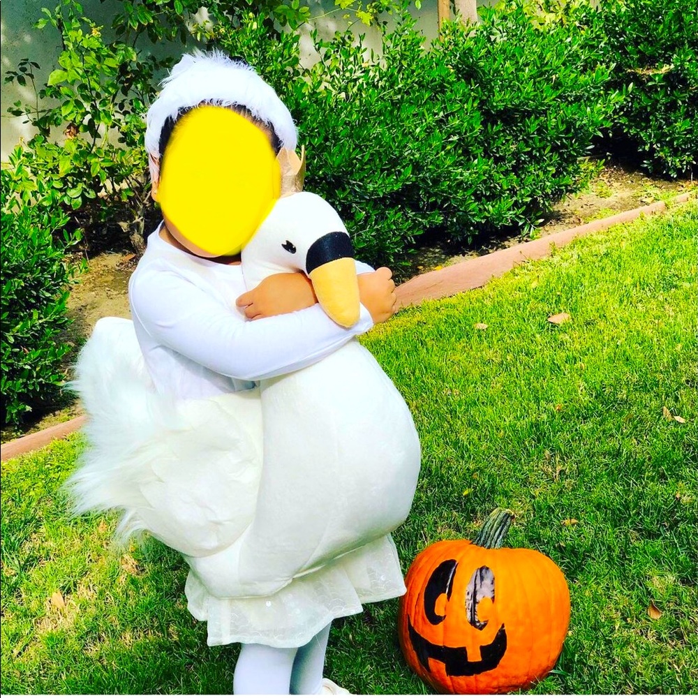 Potter Barn 3D Swan Costume 🦢